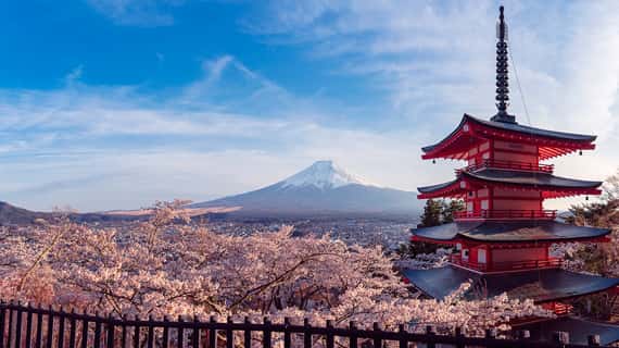 Japan holiday packages.jpg
